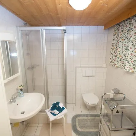 Chalet Gomig Huette *